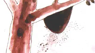 Illustration for Honey, what about it?