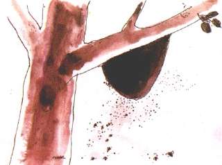 Honey, what about it? []