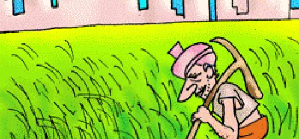 Illustration for Green Fields in a Concrete Jungle
