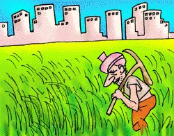 Green Fields in a Concrete Jungle [Illustration by Shiju George]