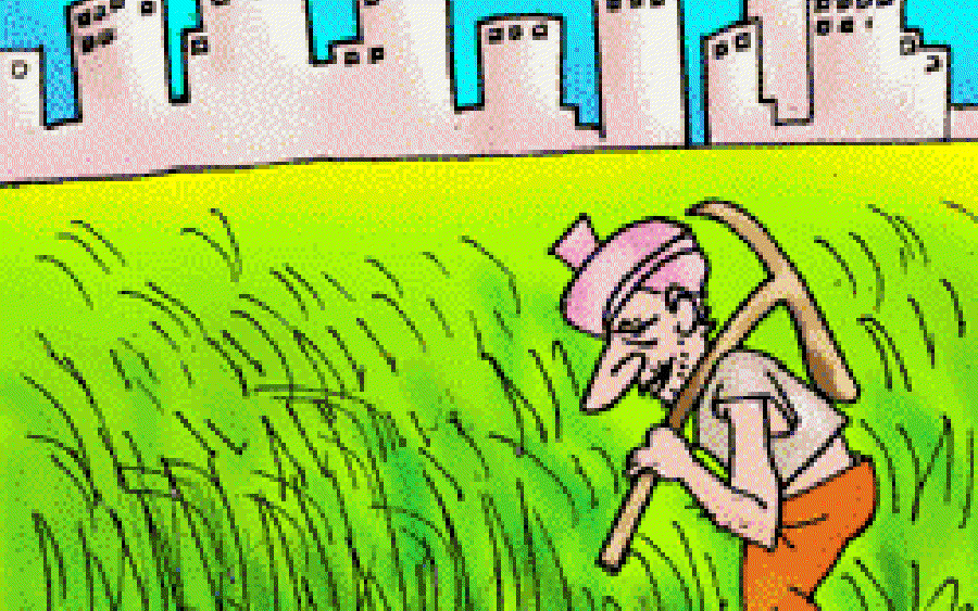 Green Fields in a Concrete Jungle
