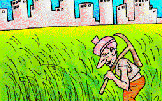 Green Fields in a Concrete Jungle