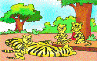 The Tiger Cubs who Lost their Parents