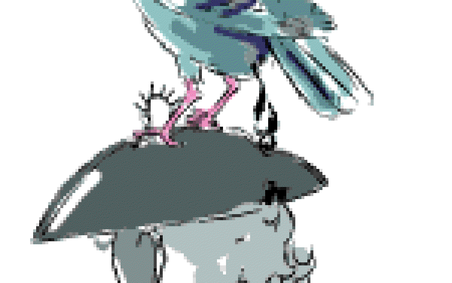 Birds!!!
