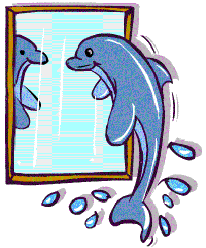 Dolphin in the Mirror [Illustration Shinod AP]