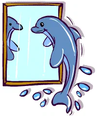 Dolphin in the Mirror [Illustration Shinod AP]
