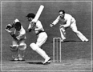 The Don's dream team []