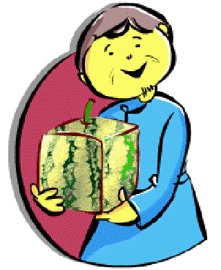 Square Watermelons [Illustration by Shinod AP]