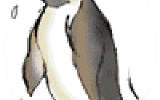 Operation Rescue of Penguins