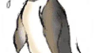 Illustration for Operation Rescue of Penguins