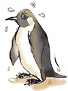 Operation Rescue of Penguins [Illustration by Kusum Chamoli]