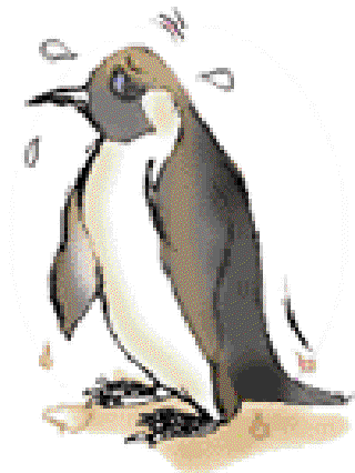 Operation Rescue of Penguins [Illustration by Kusum Chamoli]