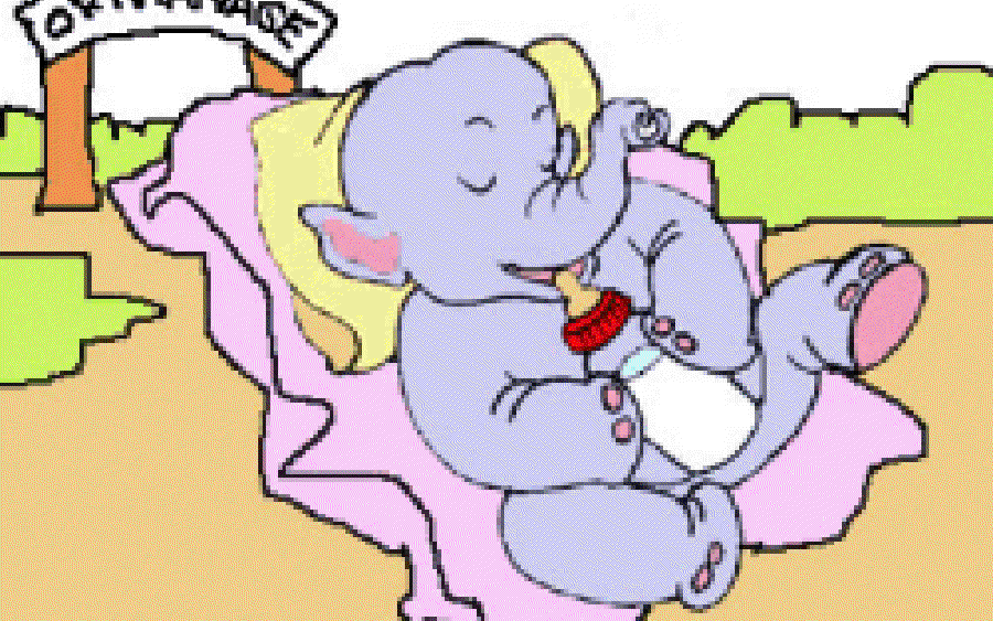 Orphanage for Elephants