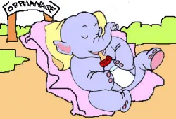 Orphanage for Elephants [Illustration by Sandeep Johri]