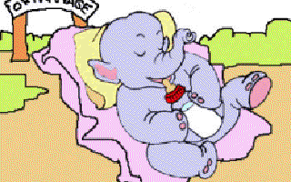 Orphanage for Elephants