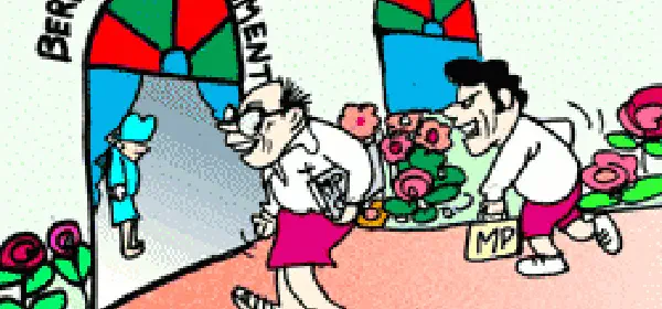 Illustration for Bermudas on Beaches — and in Parliament