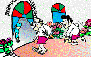 Bermudas on Beaches — and in Parliament