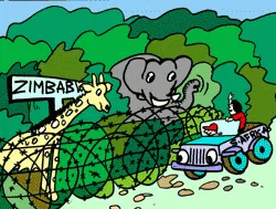Mending Fences [Illustration by Sudheer Nath]