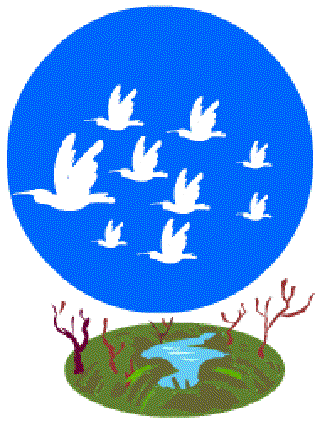 The Lake and the Birds [Illustration by Shinod AP]