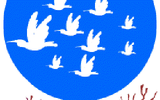 The Lake and the Birds