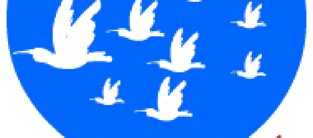The Lake and the Birds