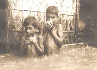 The Flood