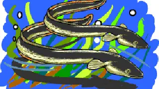 Illustration for The Truth about Eels