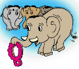 Finding a Match for an Elephant [Illustration by Sudheer Nath]