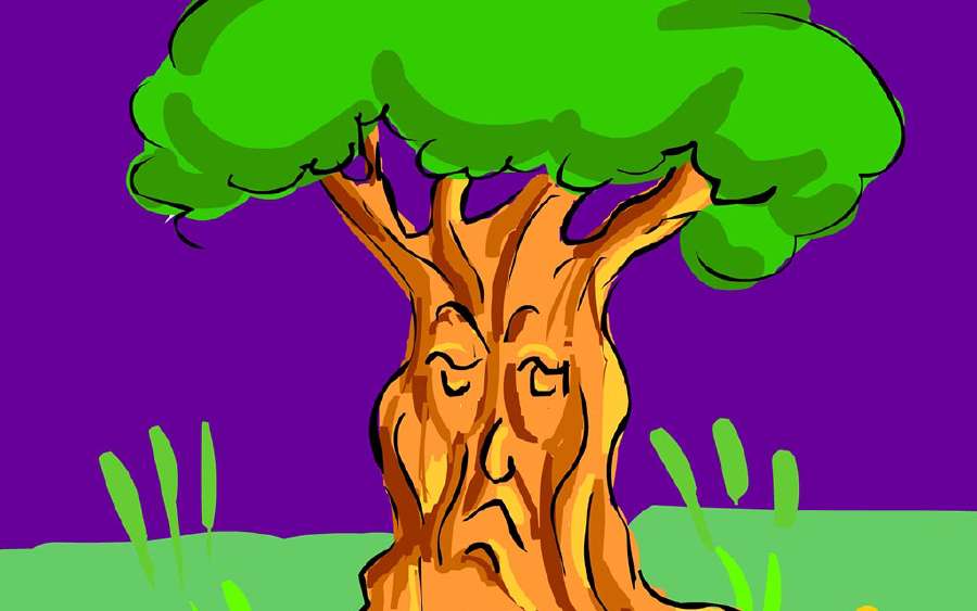 The Fossil Tree