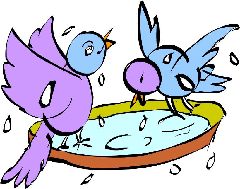 They splashed in the pool [Illustration by Shinod AP]