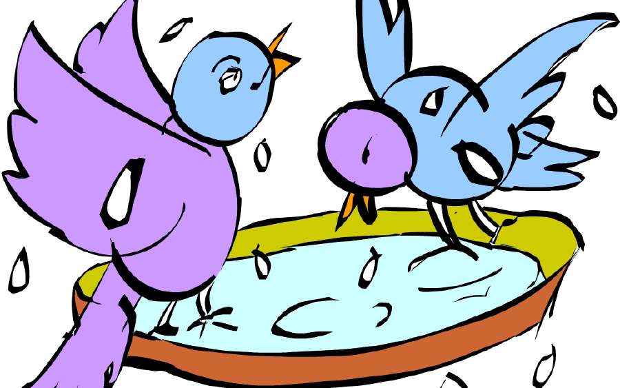 The Pigeon Party
