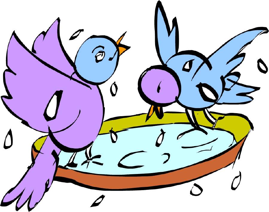 They splashed in the pool [Illustration by Shinod AP]