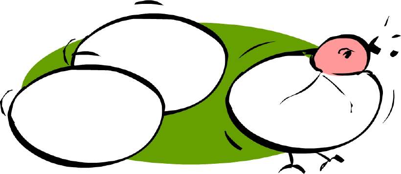 The last egg had hatched [Illustration by Shinod AP]