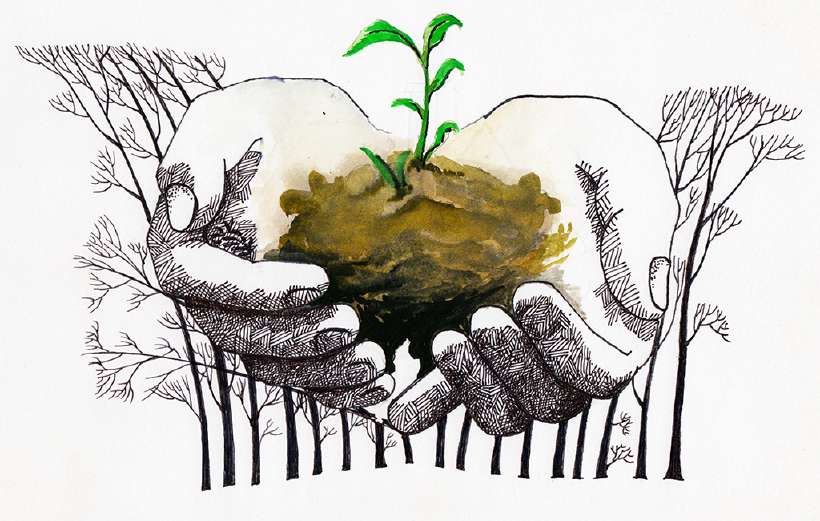 Don't Throw the Seeds Away [Illustration by Amarjeet Malik]