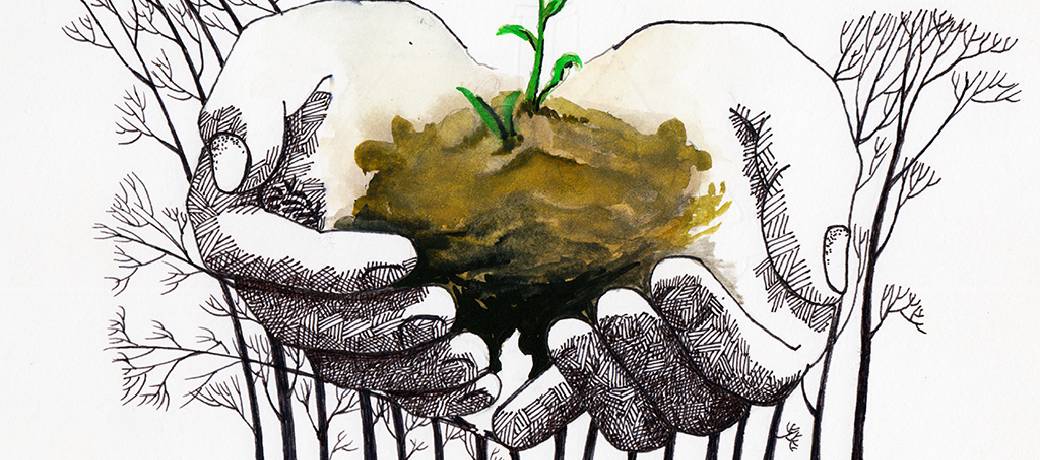 Illustration for Don't Throw the Seeds Away...