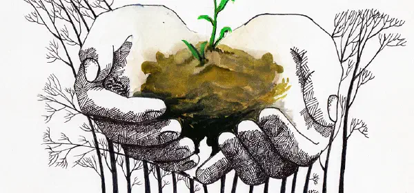 Illustration for Don't Throw the Seeds Away...