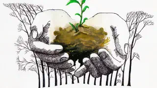 Illustration for Don't Throw the Seeds Away...