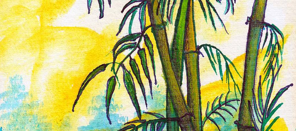 Illustration for Flowering Bamboos