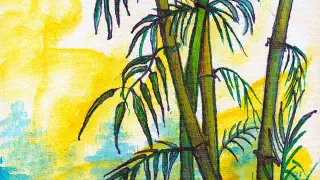 Illustration for Flowering Bamboos