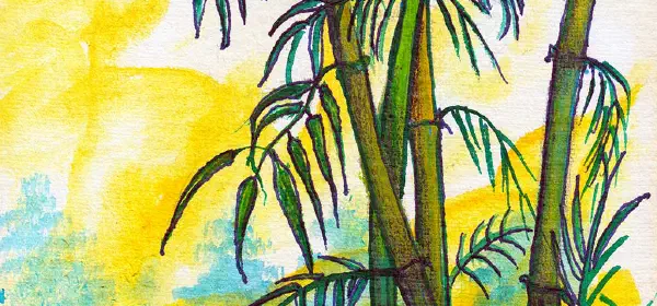 Illustration for Flowering Bamboos