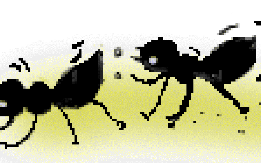 Little Black Dashes