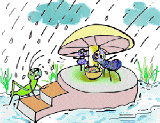 The Silly Cricket [Illustrations by Kusum Chamoli]