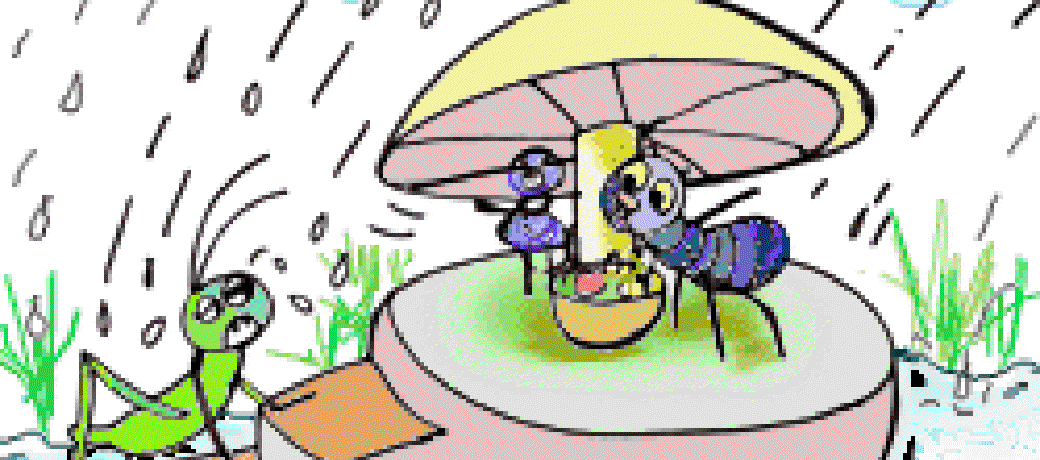 The Silly Cricket