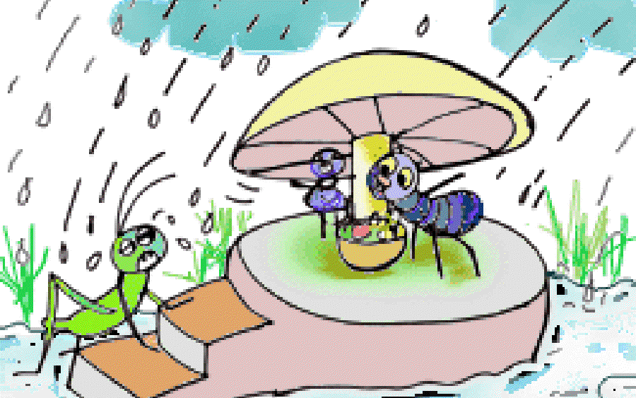 The Silly Cricket