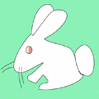 My Bunny