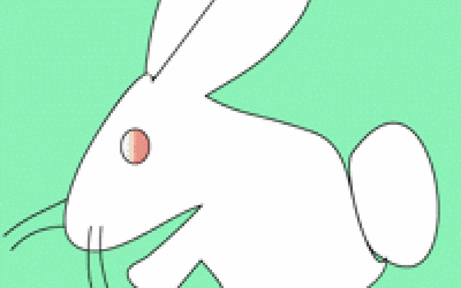 My Bunny