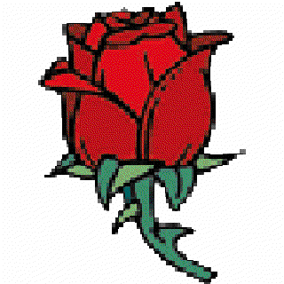 Roses []
