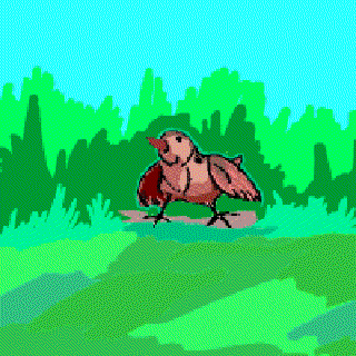 Sparrows [Illustration by Sudheer Nath]