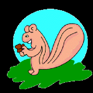 My Squirrel Friend [Illustration by Sudheer Nath]