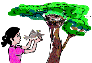 If I Can Stop One Heart from Breaking [Illustration by Anup Singh]